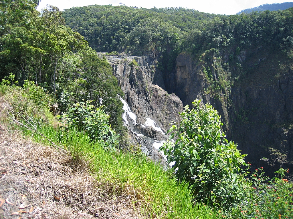 CairnsTC310 Kuranda.jpg